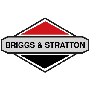 Briggs & Stratton Piston Rings - 4/Stroke