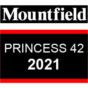 PRINCESS 42 - 2021 - 294420063 M21