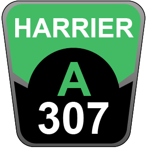 Hayter Harrier 41 AD ES - 307A (307A001001 - 307A099999)