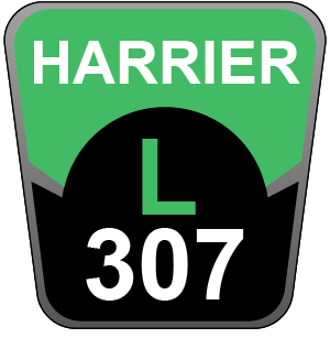 Hayter Harrier 41 AD ES - 307L (307L006076 - 307L099999)