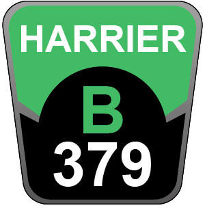 Hayter Harrier 41 Pro Autodrive FS - 379B (409296488 - 999999999)
