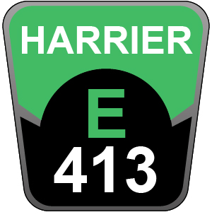 Hayter Harrier 41 AD VS - 413E (413E290000001 - 413E290999999)