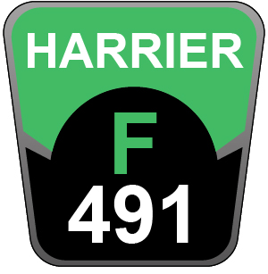 Hayter Harrier 48 AD VS - 491F (491F290000001 - 491F290999999)