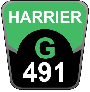 Hayter Harrier 48 AD VS - 491G (491G290000001 - 491G290999999)