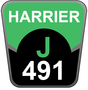 Hayter Harrier 48 AD VS - 491J (316000101 - 316999999)