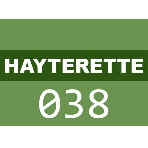 Hayter Hayterette Professional - 038 (038-268819 - 038-999999)