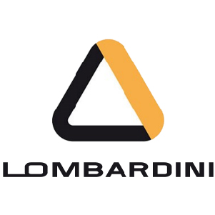 Lombardini Air Filters