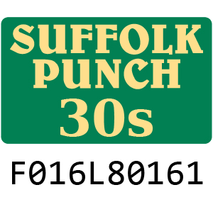 Qualcast Suffolk Punch 30S - F016L80161