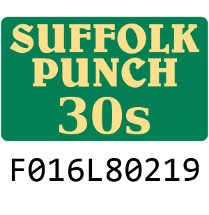 Qualcast Suffolk Punch 30S - F016L80219