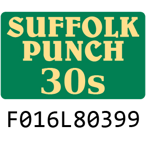 Qualcast Suffolk Punch 30S - F016L80399