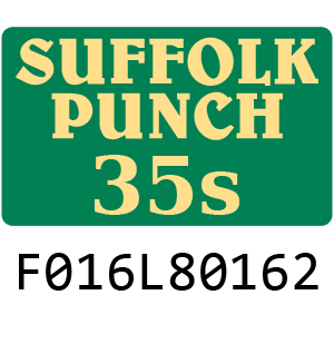 Qualcast Suffolk Punch 35S - F016L80162