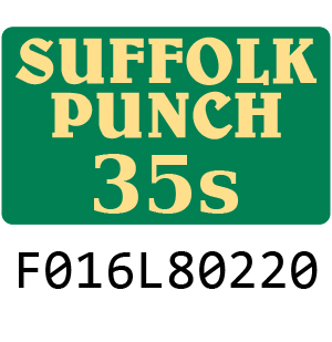 Qualcast Suffolk Punch 35S - F016L80220