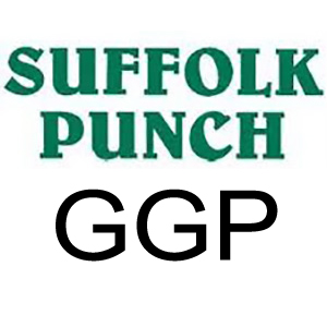 Suffolk Punch (GGP) Petrol Rotary Mower Blades