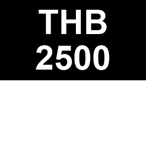 Tanaka THB-2500 Parts