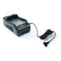 Genuine GGP Battery Charger - 118802333/0