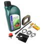 Mountfield RS100 Engine Service Kit (Full)