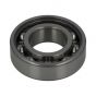 PS013 Genuine Belle Bearing 6004 BEPS013