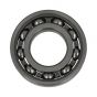 PS013 Genuine Belle Bearing 6004 BEPS013