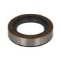 Genuine Briggs & Stratton Oil Seal - 391485