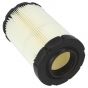 Genuine Briggs & Stratton Air Filter (5 X 594201) - 4243