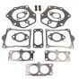 Genuine Briggs & Stratton Valve Gasket Set - 843713