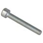 Genuine Cobra Screw - 26800303601