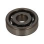 Genuine Echo Bearing - 900810-06200