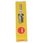 Genuine Echo Sparkplug - A425000060