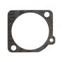 Genuine Echo Metering Gasket - P005-000200