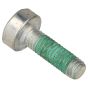 Genuine Echo Screw - V253-001020