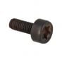 Genuine Echo Torx Bolt - V805-000010