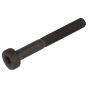 Genuine Echo Torx Bolt - V805-000270