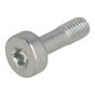 Genuine Echo Torx Bolt - V805000320