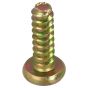 Genuine Hayter Screw - 32144-32