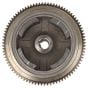 Genuine GGP Flywheel - 118550234/2