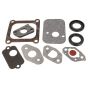 Genuine Mountfield HP164, HP41, SP164, SP45 Engine Gasket Set - 118550940/0
