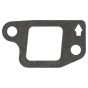 Genuine GGP Gasket - 118551123/0