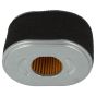 Genuine GGP LC170 Air Filter - 118551187/0