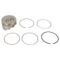 Genuine GGP Piston Assembly - 118551482/0