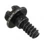 Genuine GGP Flanged Screw - 125943010/0