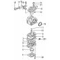 Tanaka TBC-2501D - Carburettor