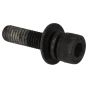 Genuine Tanaka Hex Hole Bolt - 6695506