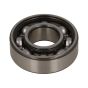 Genuine Countax Tuff Torq Pump Shaft Bearing - 1A6460-34790