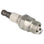 Genuine NGK BPM6F Spark Plug, Single