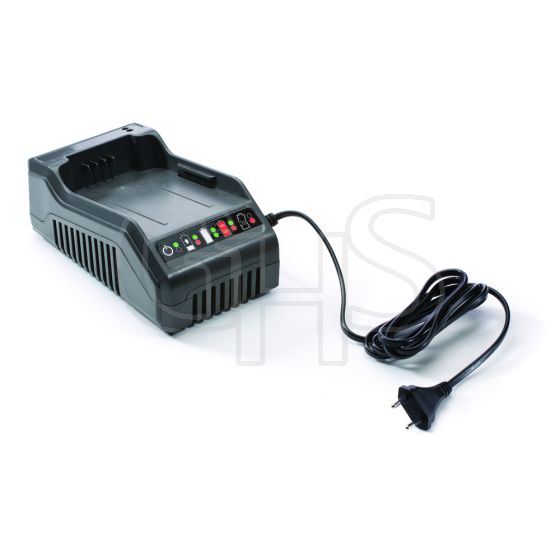 Genuine GGP Battery Charger - 118802333/0