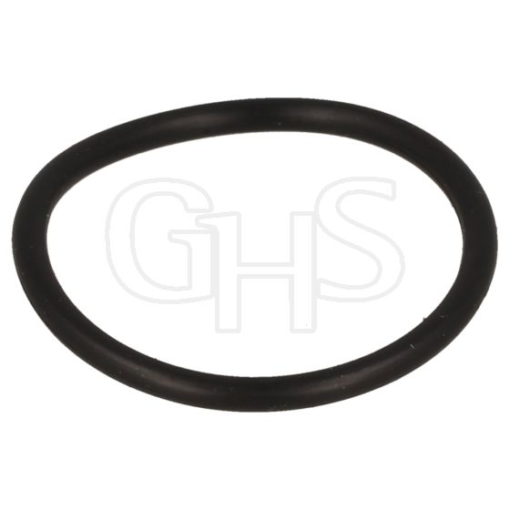 Genuine Briggs & Stratton O Ring Seal - 691870