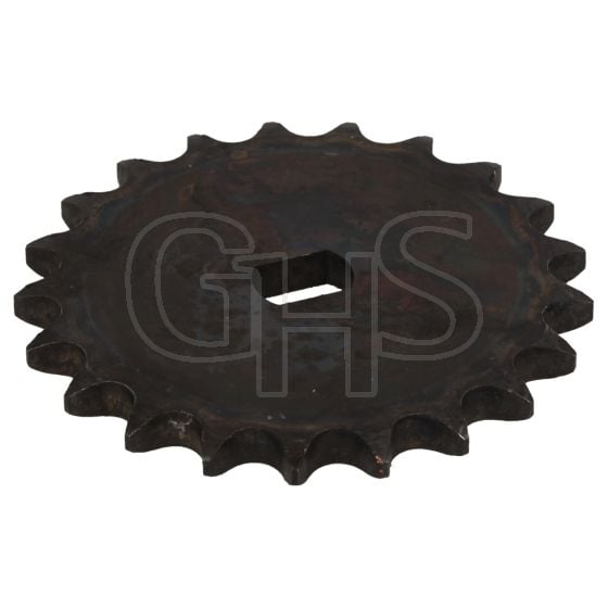 Genuine Cobra Large Chain Wheel - 2101300005A