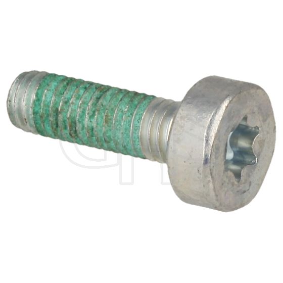 Genuine Echo Screw - V253-001020