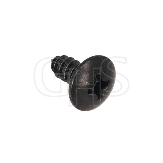 Genuine Hayter Phillips Truss Head (PTH) Screw - 117-1092