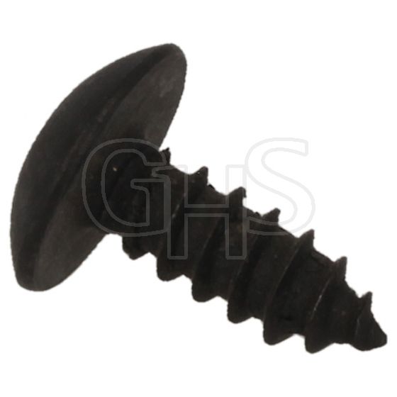 Genuine MTD Torx Screw - 710-1760